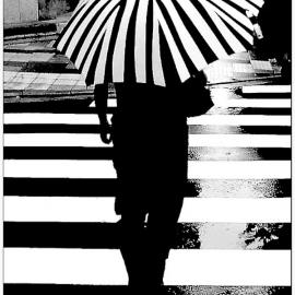 生活处处充满惊喜―Siegfried Hansen