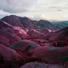 一组强烈地视觉冲击的“Quick”系列照片