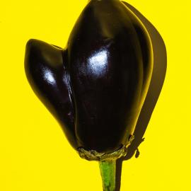 Objects of Affection by Maurizio Di Iorio