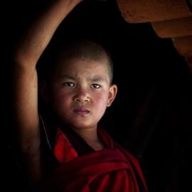 获世界上最大摄影奖作品将亮相伦敦