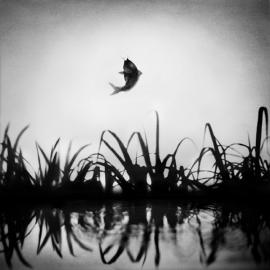 黄晓亮作品《夏的委婉》