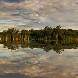 感受热带风情―自然摄影