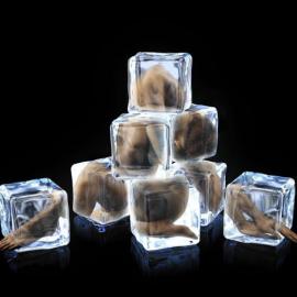 2010全国摄影艺术展获奖作品―艺术类