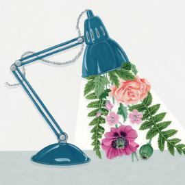 Office Plants 漂亮的植物手绘插画