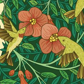 Audubon杂志插画设计