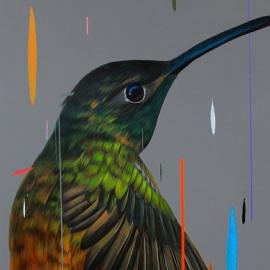 超惊艳的鸟类插画 by Frank Gonzalez