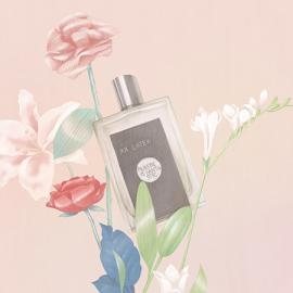 清新的杂志插图设计