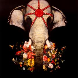 Martin Wittfooth超现实风格动物插画欣赏