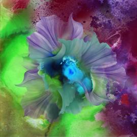 绚丽的花朵：Kahori Maki插画欣赏