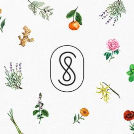 墨西哥Menta品牌视觉插画设计欣赏