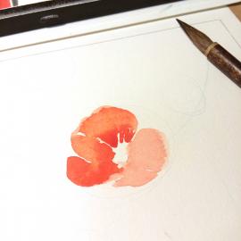 插画家Wanwan Bai的细腻水彩