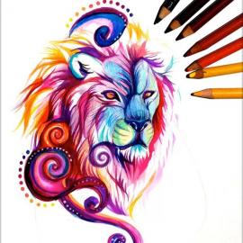 Katy Lipscomb精致的彩色铅笔绘画艺术