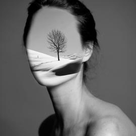 Ayla El-Moussa超现实主义拼贴画艺术