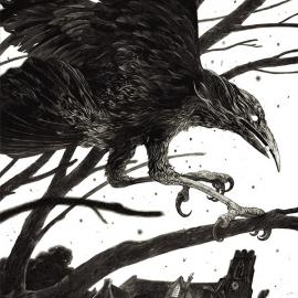 Nico Delort 黑白插画