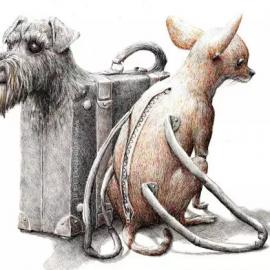 荷兰插画家Redmer Hoekstra的奇思妙想素描画