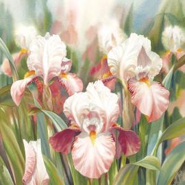 水彩的魅力 艺术家Darryl Trott作品