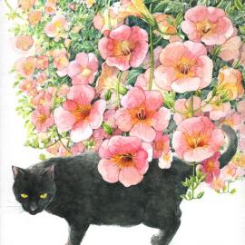 日本插画师Midori Yamada笔下的喵星人