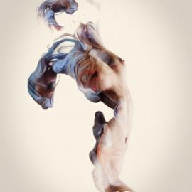 数字艺术：Trivial Expose