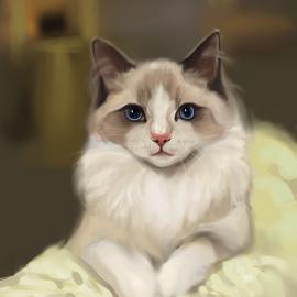 中国美院插画班学员李娜作品 喵