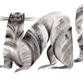 朱萍插画作品欣赏