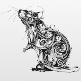 Si Scott生态插画