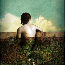 Catrin Welz-Stein插画欣赏