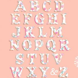 Katie Daisy唯美插画字体艺术