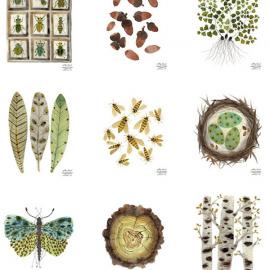 弗吉尼亚田园插画家Golly Bard 作品