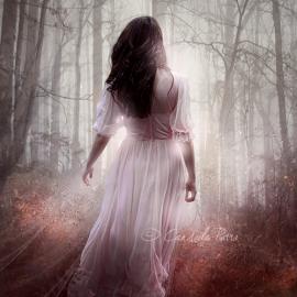 Lente Scura插画作品