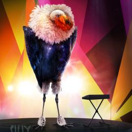 Metro Birds商业插画欣赏