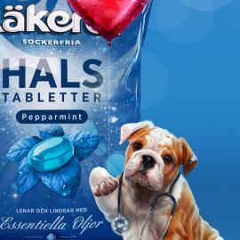 Therese Larsson有爱的动物插画