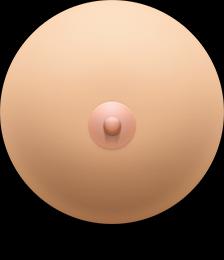 The Daily Boob创意插画欣赏