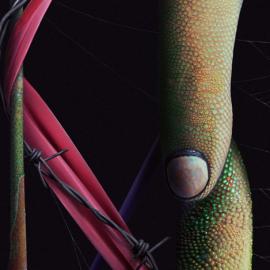 纠结 重口味插画