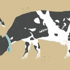 Sébastien Thibault插画作品