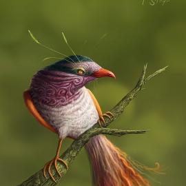 女插画师Heleen Steyn作品欣赏