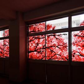 Iwaki Sogo高中的手印樱花图