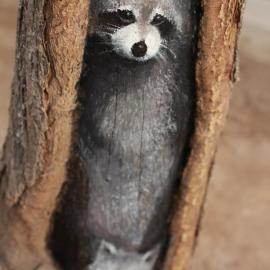 “美途”王月的树疤平面艺术绘画