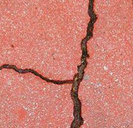 可爱街头艺术：裂缝里的美妙世界 By Alexey Menschikov