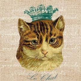 Graphicals 手绘作品欣赏