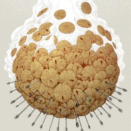 Randy Ortiz插画作品