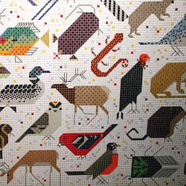 Charley Harper的马赛克拼贴作品：100种北美动物