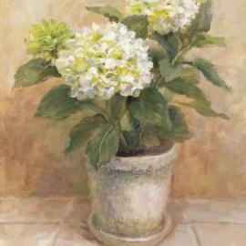 Danhui Nai 静静的绽放