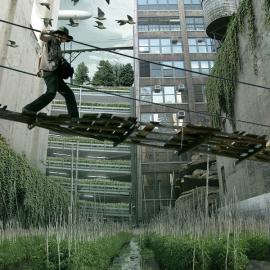 Studio Lindfors插画作品:Aqualta