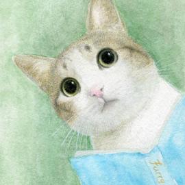 lunatree 兔子兔子和猫咪