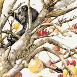 中国风手绘插画作品《恬静》