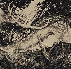 Vania Zouravliov插画及海报设计作品