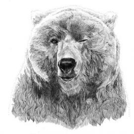 Jamie Mitchell 以动物环保为主题的插画作品欣赏