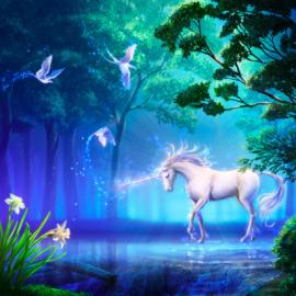 Takaki炫丽插画作品欣赏