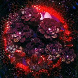 一组新加坡插画师作品欣赏