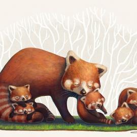 Charles Santoso插画作品